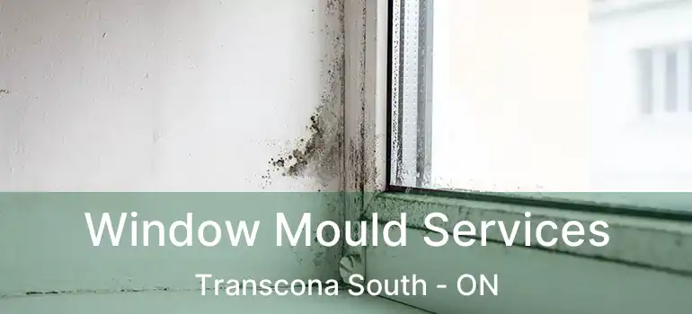  Window Mould Services Transcona South - ON