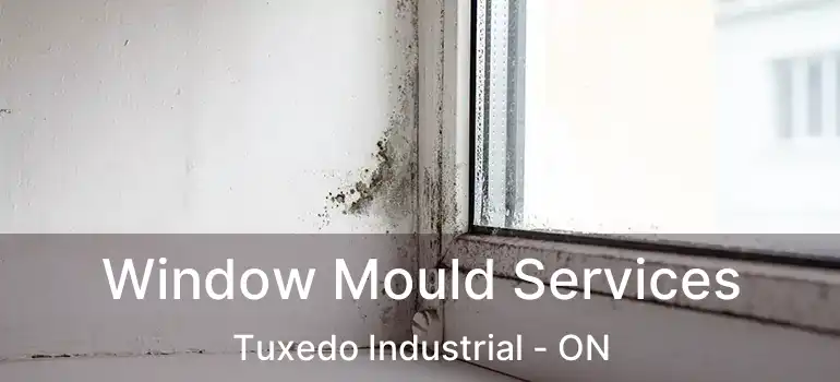  Window Mould Services Tuxedo Industrial - ON
