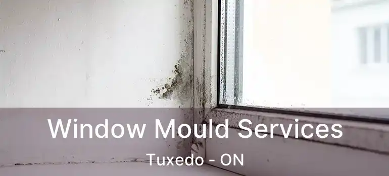  Window Mould Services Tuxedo - ON