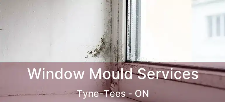  Window Mould Services Tyne-Tees - ON