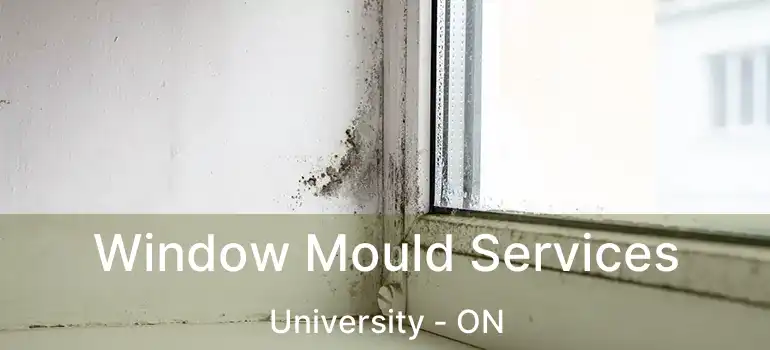  Window Mould Services University - ON