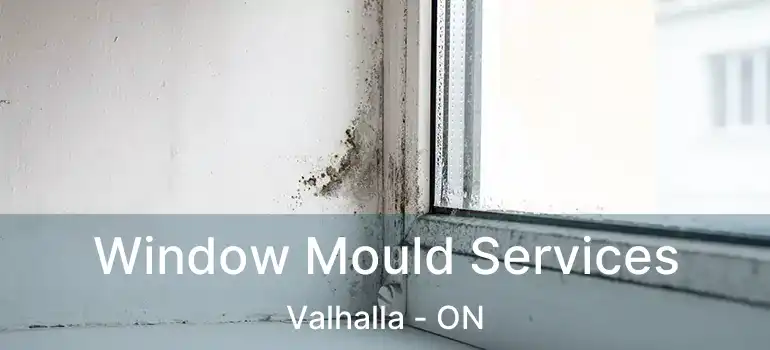  Window Mould Services Valhalla - ON