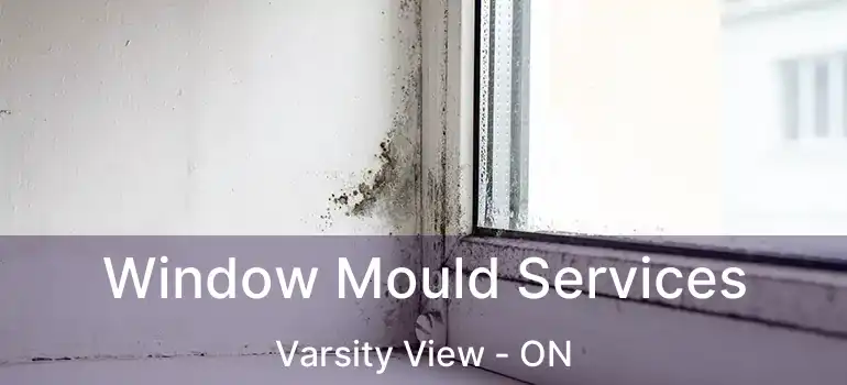  Window Mould Services Varsity View - ON