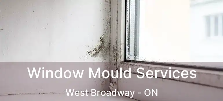  Window Mould Services West Broadway - ON