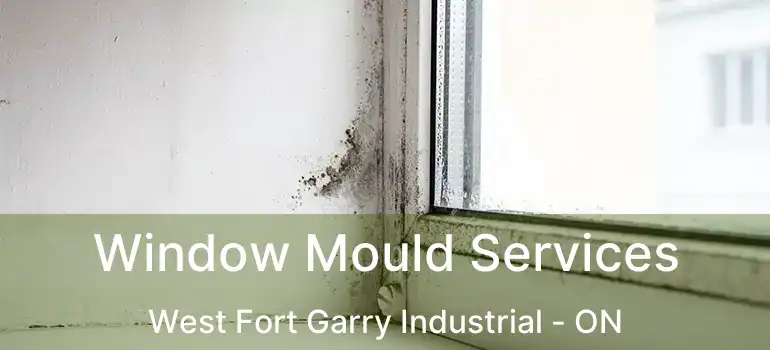  Window Mould Services West Fort Garry Industrial - ON