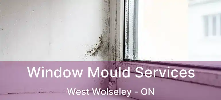  Window Mould Services West Wolseley - ON