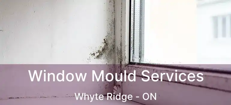  Window Mould Services Whyte Ridge - ON