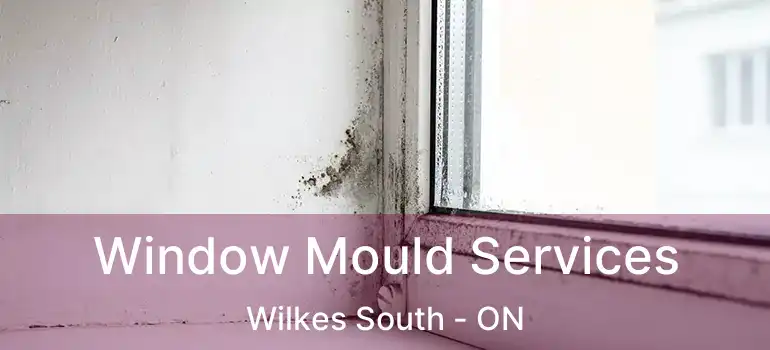  Window Mould Services Wilkes South - ON