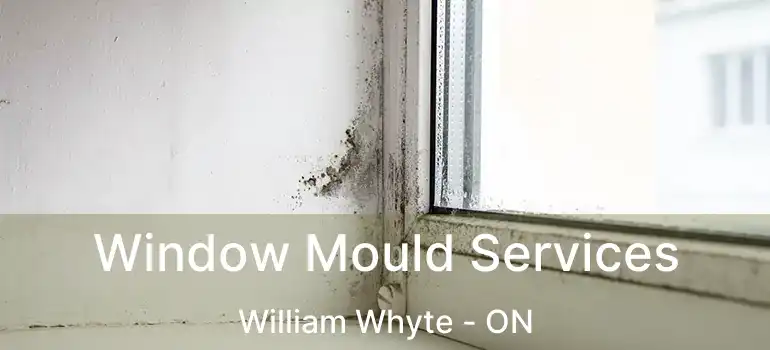  Window Mould Services William Whyte - ON