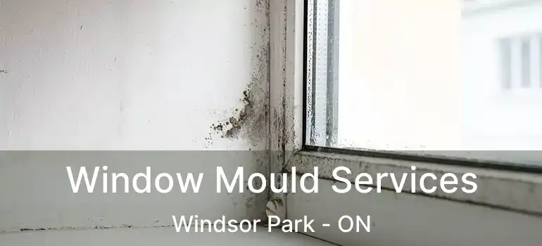  Window Mould Services Windsor Park - ON