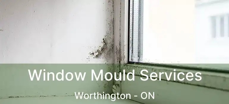  Window Mould Services Worthington - ON