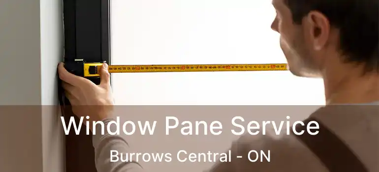  Window Pane Service Burrows Central - ON