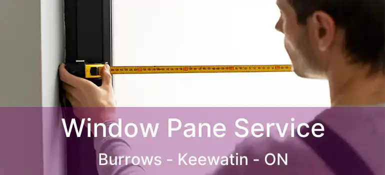  Window Pane Service Burrows - Keewatin - ON