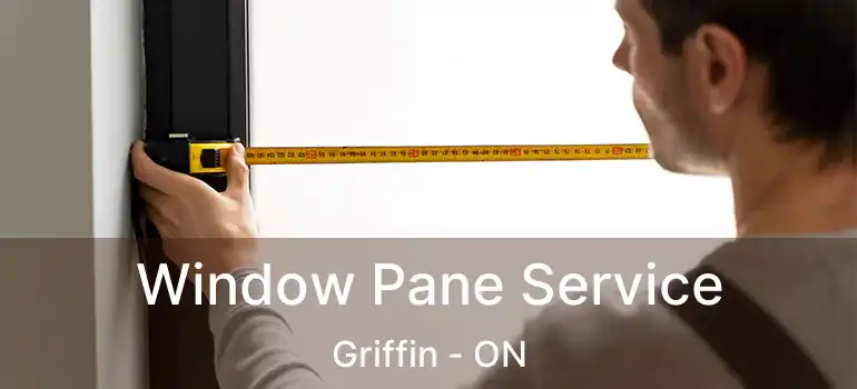  Window Pane Service Griffin - ON