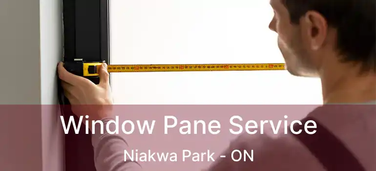  Window Pane Service Niakwa Park - ON