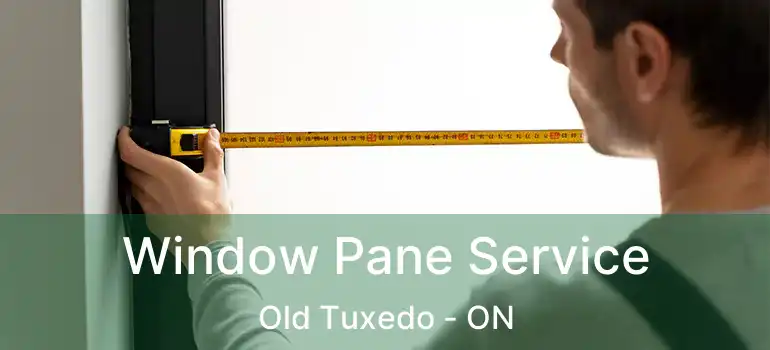  Window Pane Service Old Tuxedo - ON