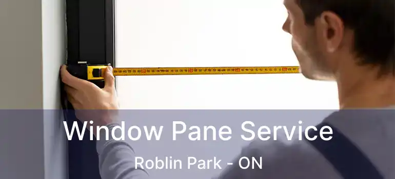  Window Pane Service Roblin Park - ON