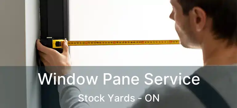  Window Pane Service Stock Yards - ON