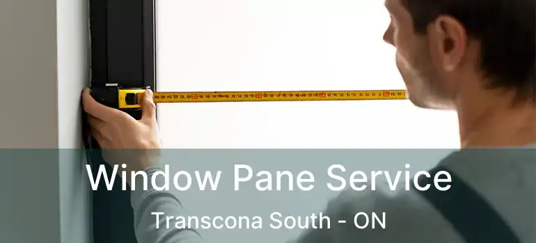  Window Pane Service Transcona South - ON