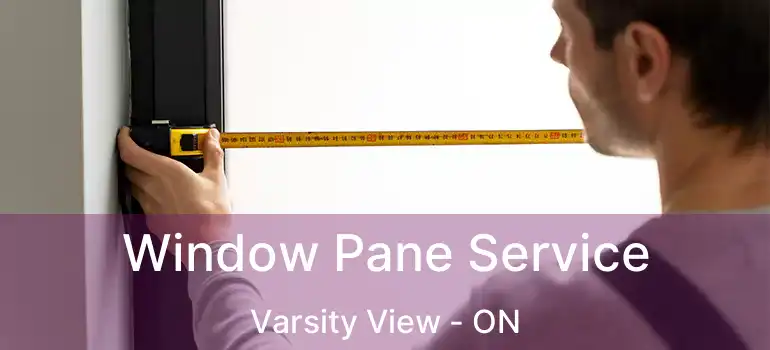  Window Pane Service Varsity View - ON