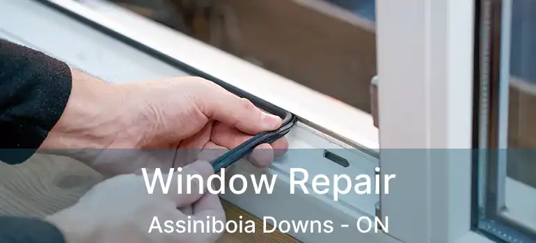 Window Repair Assiniboia Downs - ON