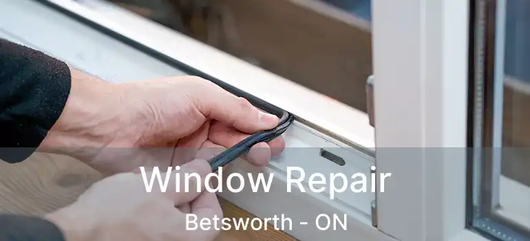  Window Repair Betsworth - ON