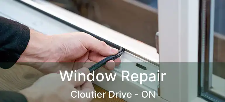  Window Repair Cloutier Drive - ON