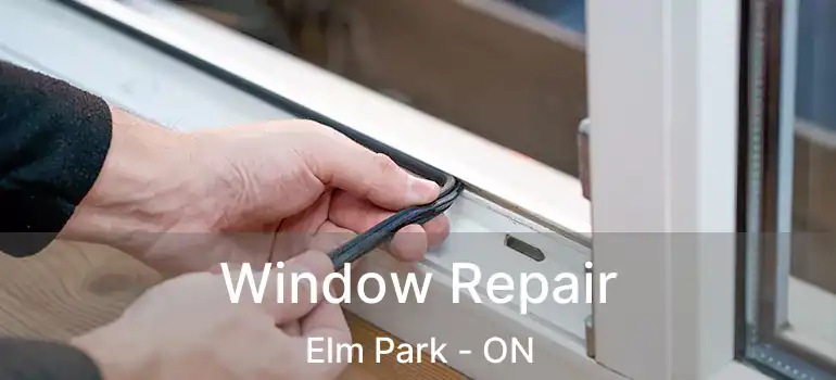  Window Repair Elm Park - ON