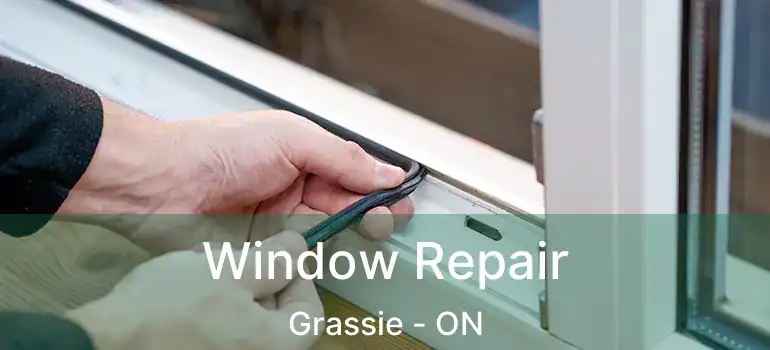  Window Repair Grassie - ON