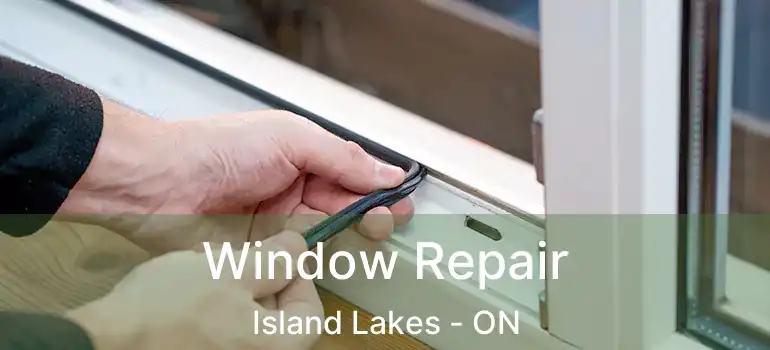  Window Repair Island Lakes - ON