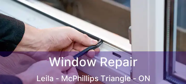  Window Repair Leila - McPhillips Triangle - ON