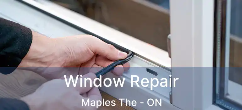  Window Repair Maples The - ON