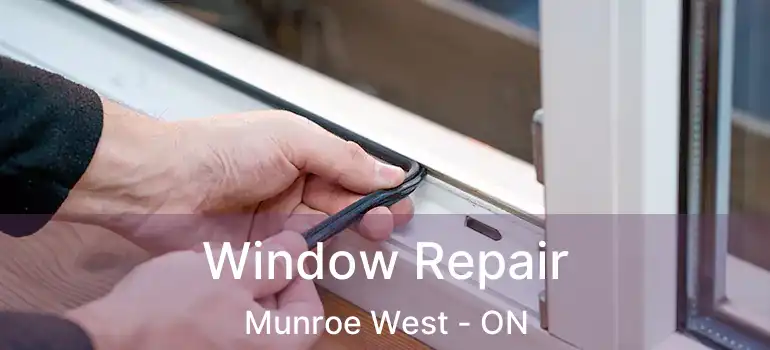  Window Repair Munroe West - ON