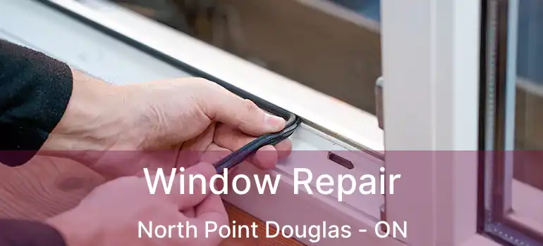  Window Repair North Point Douglas - ON