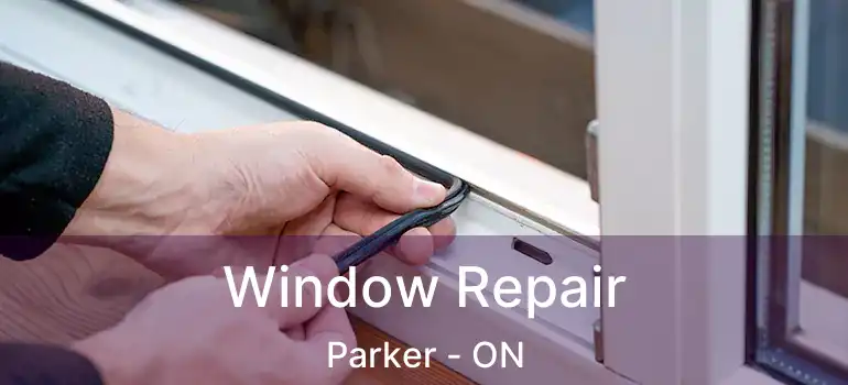 Window Repair Parker - ON