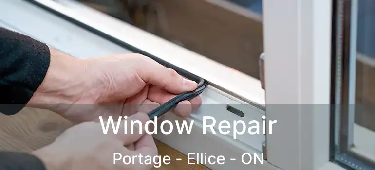  Window Repair Portage - Ellice - ON