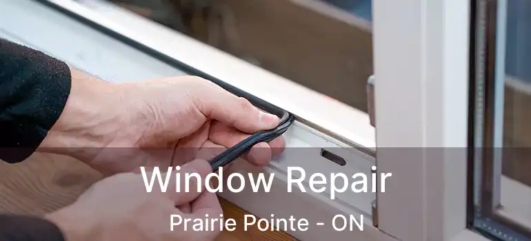  Window Repair Prairie Pointe - ON