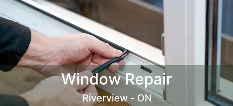  Window Repair Riverview - ON