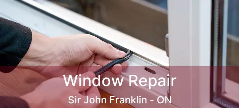  Window Repair Sir John Franklin - ON