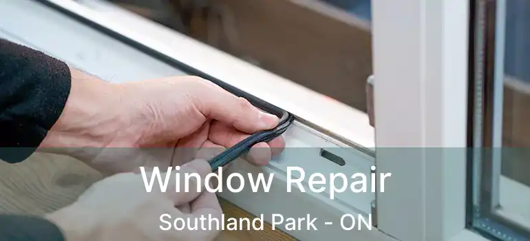  Window Repair Southland Park - ON