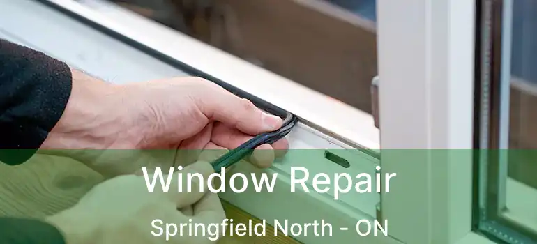  Window Repair Springfield North - ON