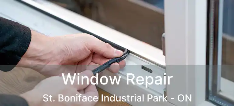  Window Repair St. Boniface Industrial Park - ON