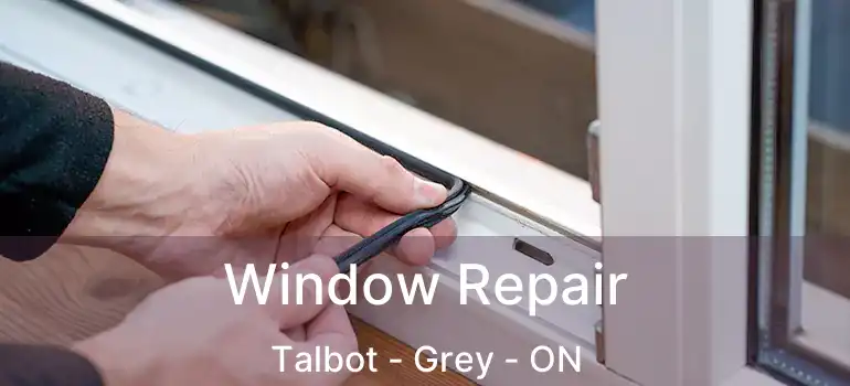  Window Repair Talbot - Grey - ON