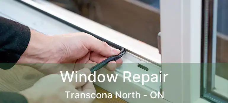  Window Repair Transcona North - ON