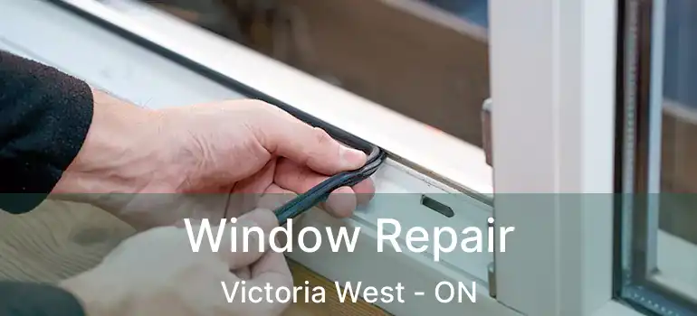  Window Repair Victoria West - ON