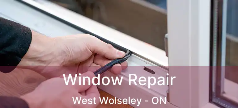  Window Repair West Wolseley - ON