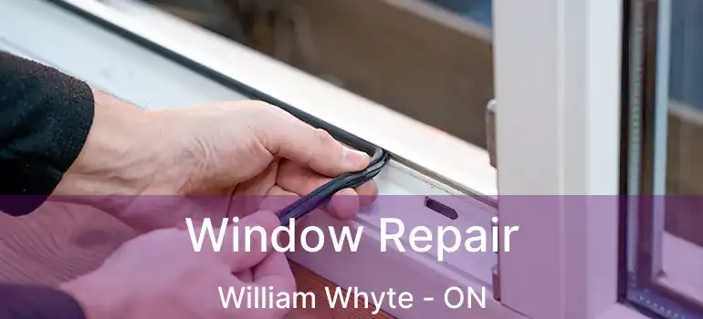  Window Repair William Whyte - ON