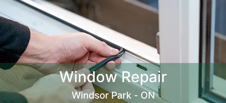  Window Repair Windsor Park - ON