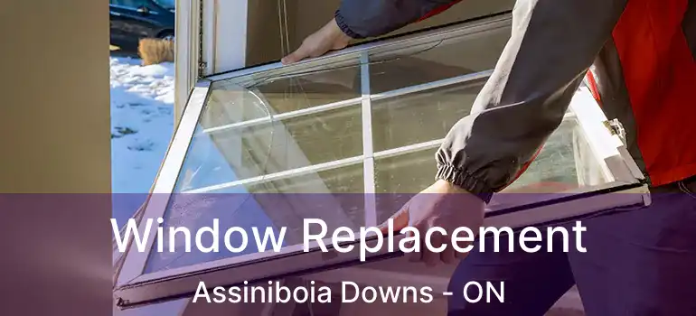 Window Replacement Assiniboia Downs - ON