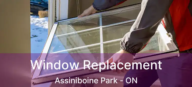  Window Replacement Assiniboine Park - ON